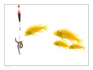 如何让AutoGen融入日常工作流